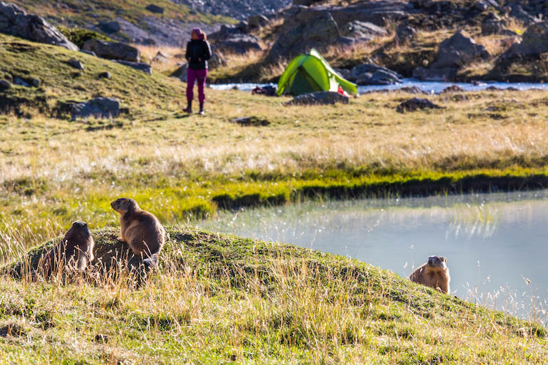 CET ETE, RESSOURCEZ-VOUS AU GRAND AIR DE LA MONTAGNE ET DEVENEZ #SIMPLEMENTNATURE ! 