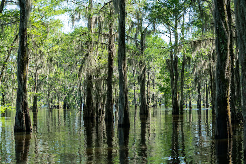 LA LOUISIANE, UN CARNAVAL DE SENSATION