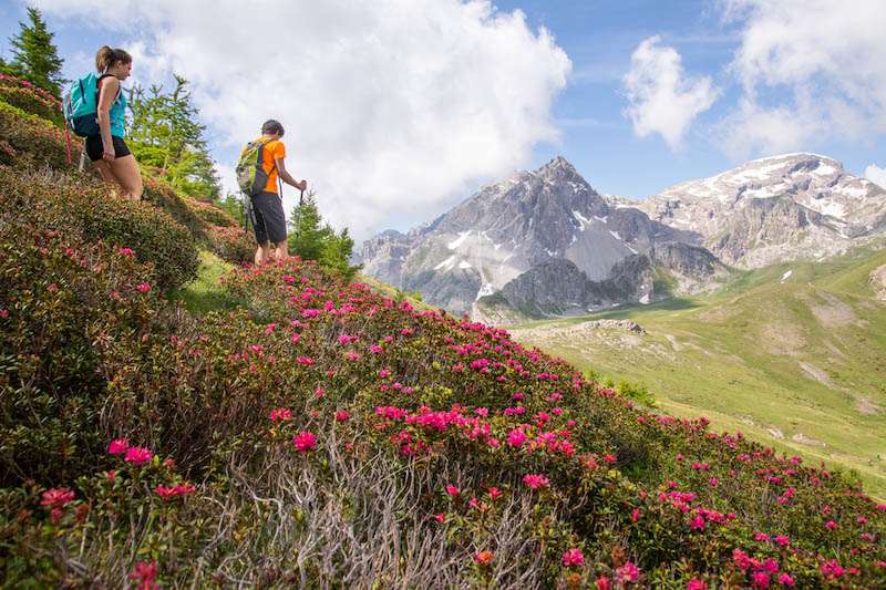 CET ETE, RESSOURCEZ-VOUS AU GRAND AIR DE LA MONTAGNE ET DEVENEZ #SIMPLEMENTNATURE ! 